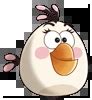 Image result for One Example of Microevolution