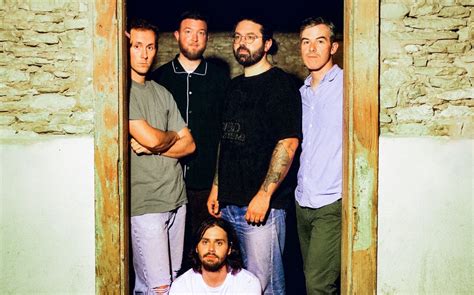 Image result for fiddlehead