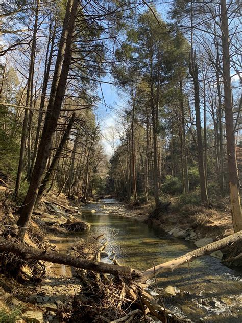 Otter Creek Nature Preserve — Old-Growth Forest Network