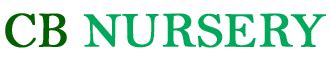 CB Nursery | www.cbnursery.in | CB Nursery Tatibandh Raipur (C.G.)