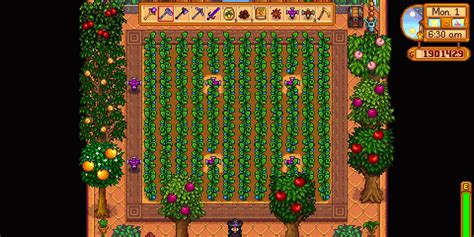 Stardew Valley: Best Sprinkler Layout