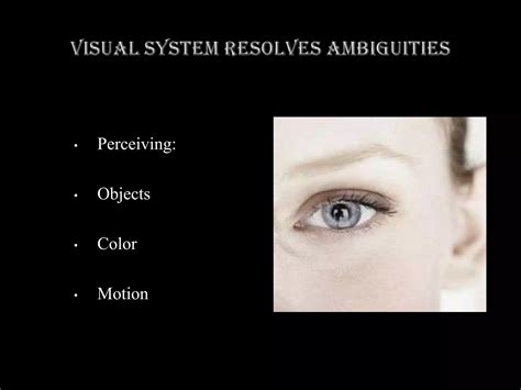 Image result for Visual Ambiguity Examples