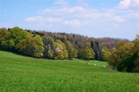 National Parks In Uttarakhand Top 6 Places You Must Visit In 2026