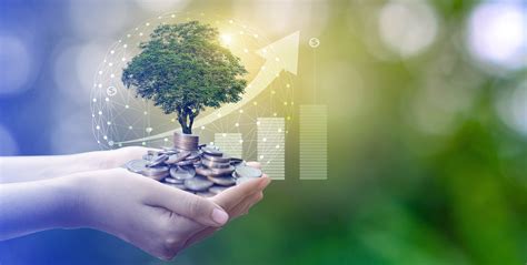 business account bank