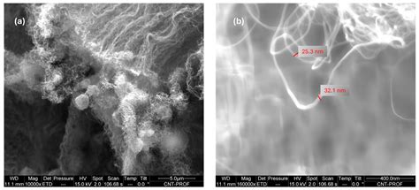 Carbon Nanotube-Based Filters for the Adsorption of Toxic Compounds in ...