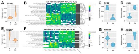 Proteomic Changes in the Cytoplasmatic Fraction of Weaned Piglets ...