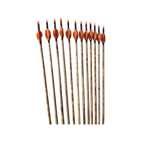 Indian arrows — ArcheryKart