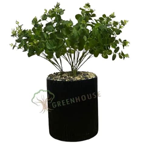 Garden Planter Manufacturers in New Friends Colony