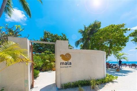 MALA BOUTIQUE INN (Dhangethi Island) - Guesthouse Reviews & Photos ...