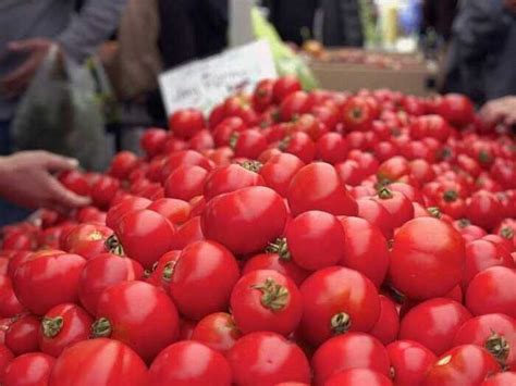Tomato Prices Went Bananas | Business Insider India