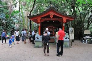 Top 20 things to do in Miyazaki (Updated Jul 2025)