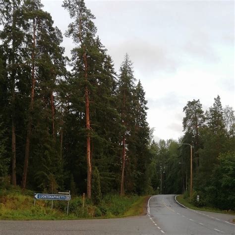 LUONTOKAPINETTI (2026) All You Need to Know BEFORE You Go (with Photos ...