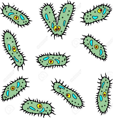 Bacteria clip art at vector clip art - WikiClipArt