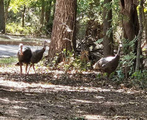 ABILENE STATE PARK - All You Need to Know BEFORE You Go 2026 (with ...