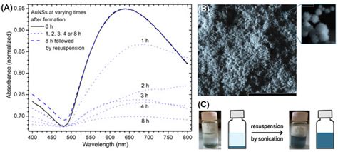 Functionalization of Gold Nanostars with Cationic β-Cyclodextrin-Based ...