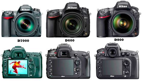 Nikon D7000 vs D600 vs D800 : A Quick Comparison
