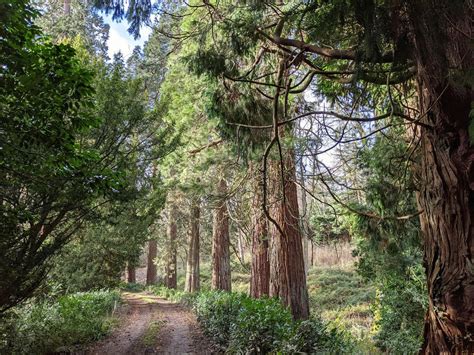 Guided Tree Walk & Workshop, Yoghurt Rooms: Wedding Barn & Events Venue ...