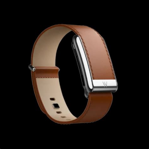 Whoop 5.0 Leatherluxe Straight Chestnut/Cream with Titanium Band (Strap ...