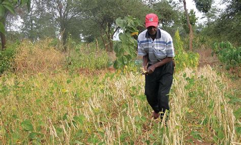 Africa and climate change: Exiled by emissions