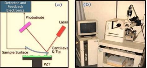 Image result for AFM Explained Microscope