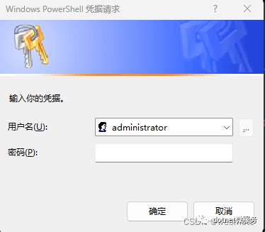 Use Windows PowerShell Dork 的图像结果