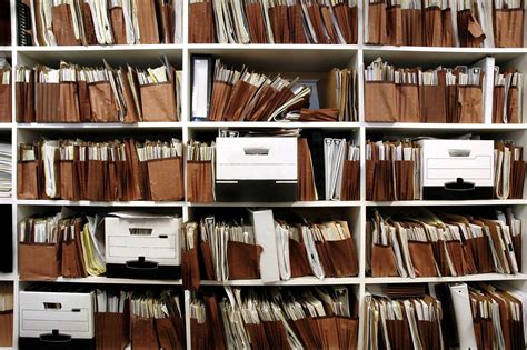 Документоведение и архивоведение: профессии после окончания программы в ...
