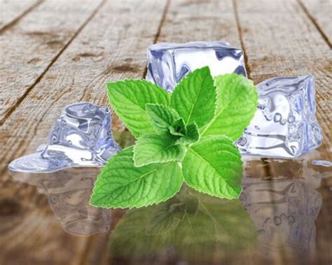 Menthol Powder In Al Madam | Menthol Powder Manufacturers Exporters Al ...