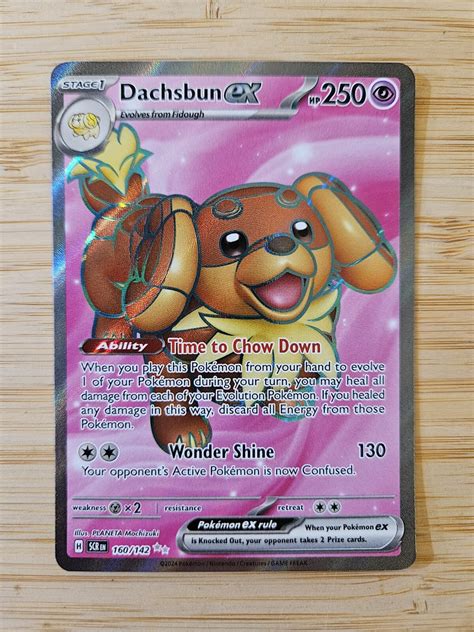 Dachsbun Ex Stellar Crown