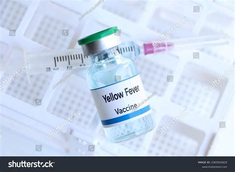 Yellow Fever Patients