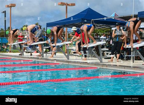 Swim Meet 的图像结果