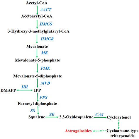 Heterologous Expression of Three Transcription Factors Differently ...