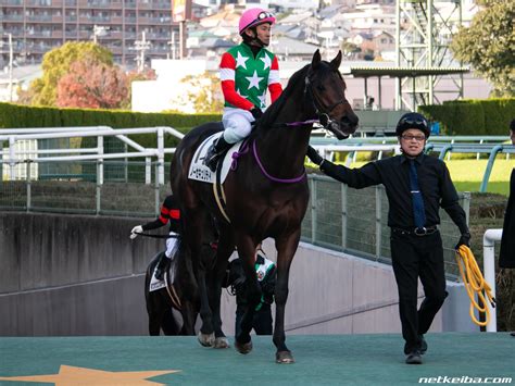 No Security | Horse Profile, Pedigree, Form, Race Record - netkeiba