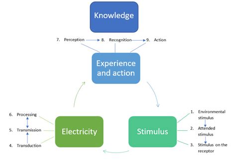 D'source 2.2 The Perceptual Process | 2. Nature of Visual Experience ...