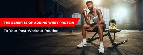 The Benefits of Incorporating Whey Protein into Your Post-Workout Rout