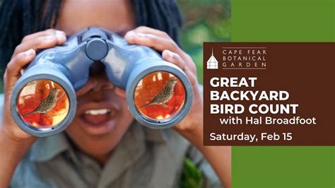 Great Backyard Bird Count at Cape Fear Botanical Garden, 536 N Eastern ...