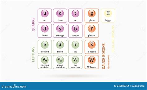 Standard Model 的图像结果