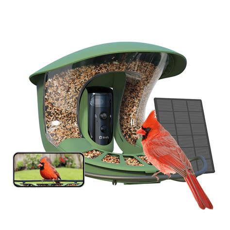 Smart Bird Feeder with Camera, Netvue Birdfy Bird Feeders Camera with ...