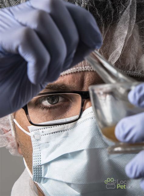 NORTH BEACHES PHARMACY - Jacksonville Beach FL - Hours, Directions ...