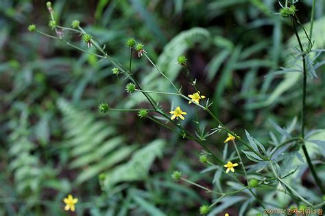 Image result for Test Spring Squareness
