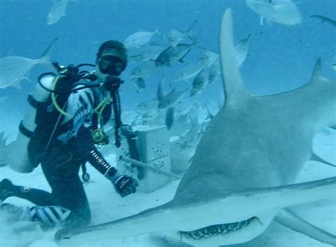 Neal Watson's Bimini Scuba Center (Alice Town) - All You Need to Know ...