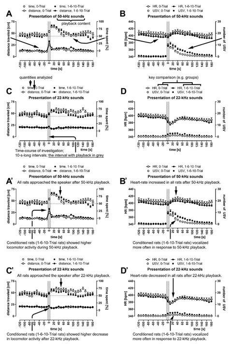 Increased Vocalization of Rats in Response to Ultrasonic Playback as a ...