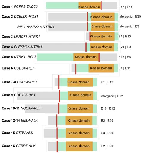Image result for RTK Structure