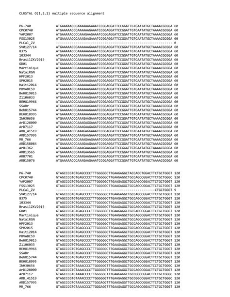 Data Tool S4 的图像结果