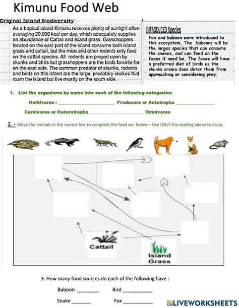 Image result for Computer System Tree