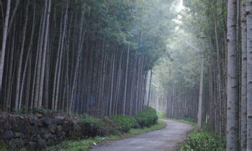 Ecstatic 2 Days 1 Night Yercaud Romantic Vacation Package | Yercaud ...