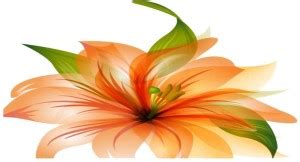 voorkoms Flower Multicolor Temporary Tattoo Stickers For Male And ...