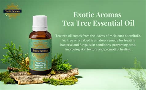 Exotic Aromas Tea Tree Oil, Essential Oil for Skin, Hair, Face, Acne ...