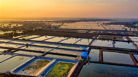 What Is Fish Farming 的图像结果