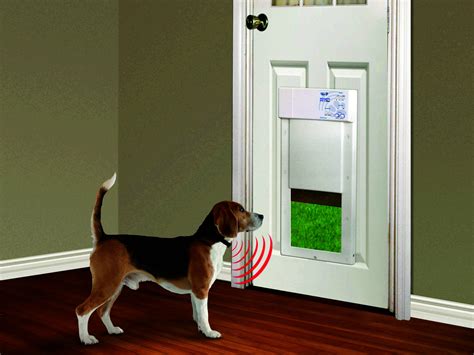 PX1 Medium Automatic Pet Door - High Tech Pet Doors