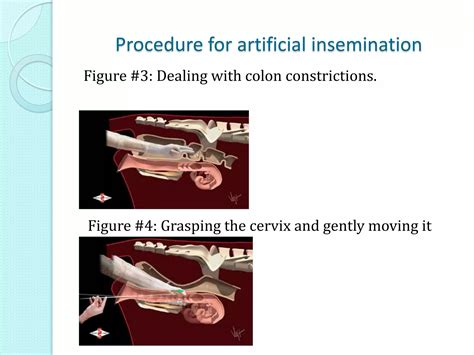 Artificial insemination in cattle | PPTX